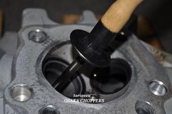 201006084.JPG