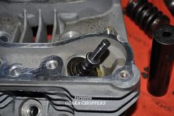 201006085.JPG