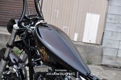 201203257.JPG