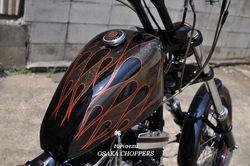 201204172.JPG