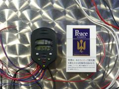P1000688.JPGのサムネール画像