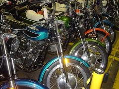 DSC00799.JPGのサムネール画像