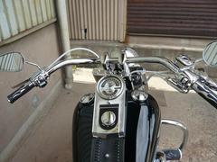 P1020238.JPGのサムネール画像